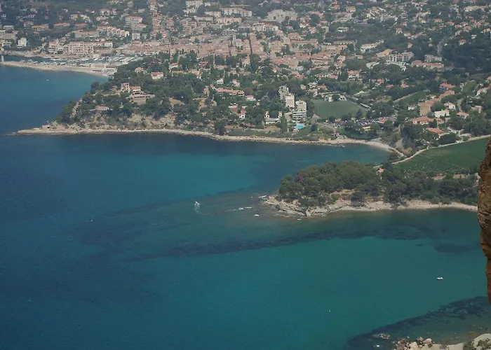 Viva Vitale Couette-café